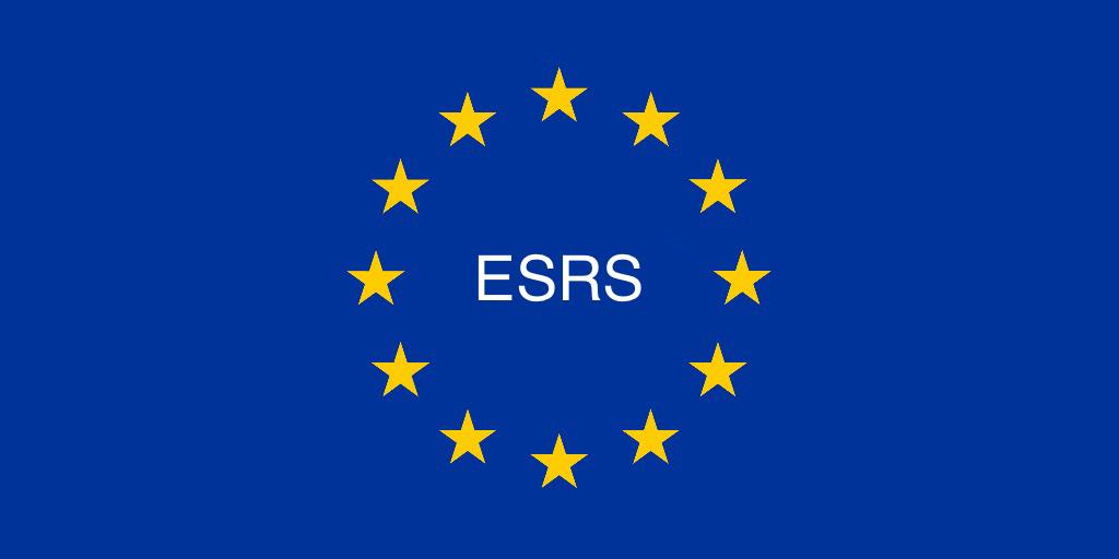 About the European Sustainability Reporting Standards (ESRS)